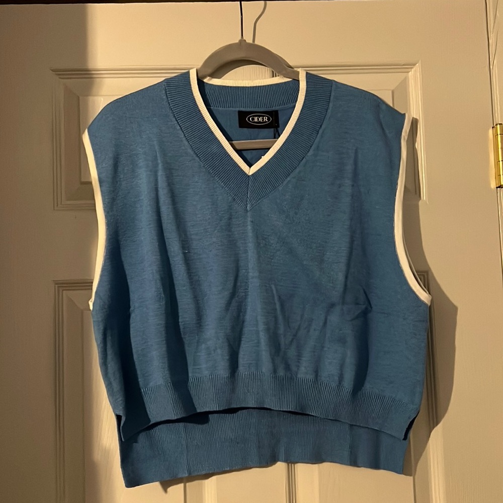 Blue sweater vest in a size large.
